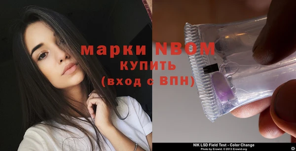 шишки Алзамай
