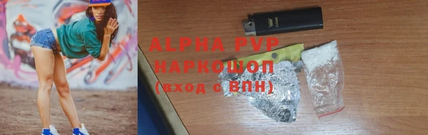 стафф Алексин