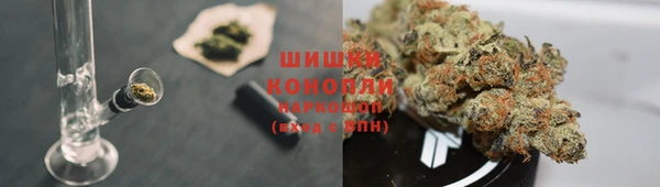 шишки Алзамай
