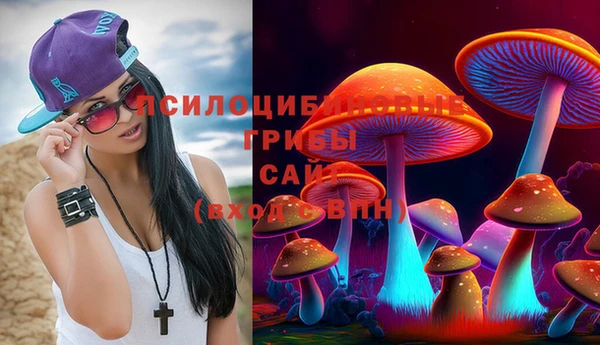 шишки Алзамай