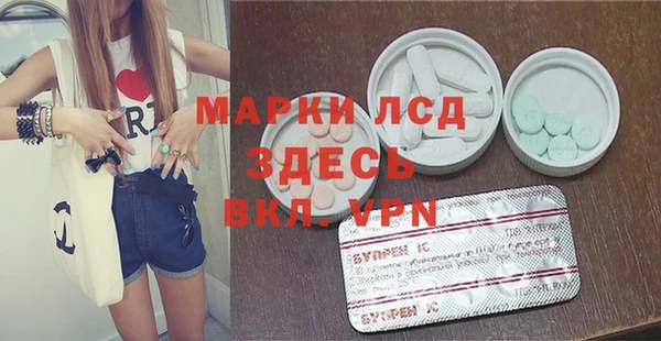 стафф Алексин