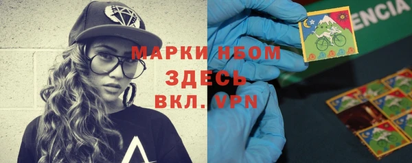 шишки Алзамай