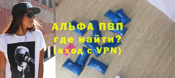 стафф Алексин